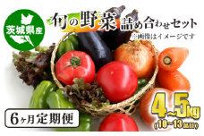 【定期便】 旬の野菜詰め合わせセット 隔月6ヶ月