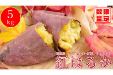 オーガニックさつまいも5kg【農薬・肥料不使用】【茨城県共通返礼品 つくばみらい市】
※2024年10月下旬～2025年2月下旬頃発送予定