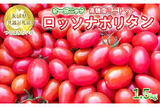 オーガニック高糖度ミニトマト「ロッソナポリタン」【農薬・肥料不使用】【茨城県共通返礼品 つくばみらい市】
※2023年6月上旬頃より順次発送予定