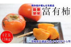 茨城県産富有柿（2Lサイズ 12個　3kg）【茨城県共通返礼品 かすみがうら市】◇
※2023年10月上旬～12月下旬頃に順次発送予定