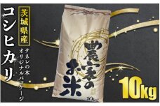 茨城県産コシヒカリ10kg テネレの木オリジナルパッケージ