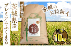 ☆茨城の大粒新人 プレミアムふくまる特別栽培米10kg【白米】◆