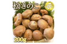茨城県産　松きのこ200ｇ 【茨城県共通返礼品 水戸市】