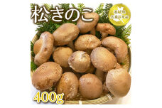 茨城県産　松きのこ400ｇ 【茨城県共通返礼品 水戸市】