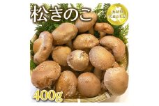 茨城県産　松きのこ400ｇ 【茨城県共通返礼品 水戸市】