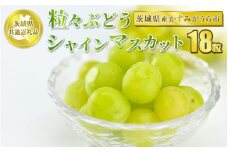 粒々ぶどう 合計18粒 シャインマスカット【茨城県共通返礼品 かすみがうら市】シャインマスカット マスカット ぶどう ブドウ 葡萄 果物 フルーツ お取り寄せ　※2024年8月上旬頃より順次発送予定