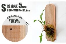 【着生板】Sサイズ 5枚組「角の形状：直角」