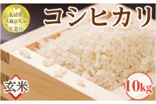 茨城県下妻市産コシヒカリ玄米10kg【茨城県共通返礼品 下妻市】