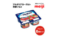 ブルガリア ヨーグルト 芳醇いちご 苺 イチゴ フルーツ 乳製品 発酵食品 合計1800g