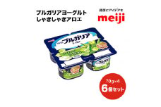 ブルガリア ヨーグルト しゃきしゃき アロエ 乳製品 発酵食品 合計1800g
