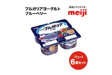 ブルガリア ヨーグルト ブルーベリー フルーツ 乳製品 発酵食品 合計1800g
