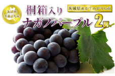 桐箱入りナガノパープル 2房【茨城県共通返礼品 かすみがうら市産】
※2024年8月～10月下旬頃に順次発送予定