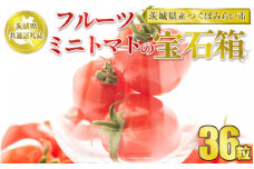 【先行予約】【茨城県共通返礼品　つくばみらい市産】フルーツミニトマトの宝石箱　36粒
※2026年1月～3月下旬頃に順次発送予定