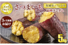 【先行予約】【茨城県共通返礼品　行方市産】【定期便】芋の3ヵ月連続お届けセット　5kg×3回
※2024年10月～12月下旬頃に順次発送予定
