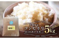 【あいがも米】茨城県産 コシヒカリ 5kg【玄米】 令和4年産 単一原料米 米 お米 おこめ ごはん 無農薬 ブランド米 国産 常温 守谷市