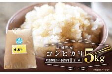 【残留農薬不検出米】茨城県産 コシヒカリ 5kg【玄米】 令和5年産 単一原料米 米 お米 おこめ ごはん 残留農薬不検出 無農薬 ブランド米 国産 常温 守谷市