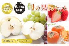 【先行予約】【定期便】果物セット 旬 6ヵ月連続（8、9、10、11、12、1月）【茨城県共通返礼品 かすみがうら市】
※2024年8月～2025年1月頃に順次発送予定