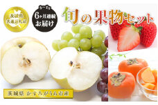 【先行予約】【定期便】果物セット 旬 6ヵ月連続（8、9、10、11、12、1月）【茨城県共通返礼品 かすみがうら市】
※2024年8月～2025年1月頃に順次発送予定