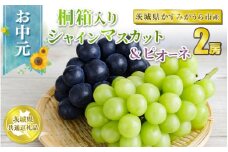 お中元 シャインマスカットとピオーネ桐箱入り2房 【茨城県共通返礼品 かすみがうら市】
※2024年8月上旬～中旬頃に順次発送予定