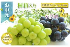 お中元 シャインマスカットと巨峰桐箱入り2房 【茨城県共通返礼品 かすみがうら市】
※2024年8月上旬～中旬頃に順次発送予定