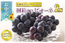 お中元 ピオーネ桐箱入り2房 【茨城県共通返礼品 かすみがうら市】
※2024年8月上旬～中旬頃に順次発送予定