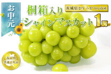 お中元 シャインマスカット桐箱入り1房【茨城県共通返礼品 かすみがうら市】
※2024年8月上旬～中旬頃に順次発送予定
