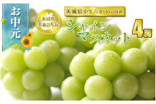 お中元 シャインマスカット 4房【茨城県共通返礼品 かすみがうら市】
※2024年8月上旬～中旬頃に順次発送予定