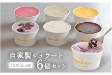 自家製ジェラート6個セット
