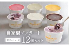 自家製ジェラート12個セット