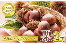 栗 2kg【茨城県共通返礼品 つくばみらい市】
※2024年10月上旬～10月下旬頃に順次発送予定