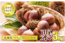 栗 3kg【茨城県共通返礼品 つくばみらい市】
※2024年10月上旬～10月下旬頃に順次発送予定