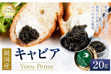 【先行予約】純国産 キャビア Voeu-Pense 20g 【茨城県共通返礼品　河内町】 ※2025年12月上旬頃より順次発送予定