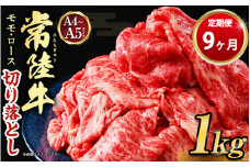 【定期便 9ヶ月】【常陸牛】切り落とし1kg（茨城県共通返礼品 茨城県産）