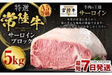 【特選】常陸牛（ひたちぎゅう）A5等級 サーロインブロック 5kg（茨城県共通返礼品 茨城県産）