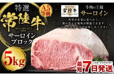 【特選】常陸牛（ひたちぎゅう）A5等級 サーロインブロック 5kg（茨城県共通返礼品 茨城県産）