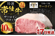 【特選】常陸牛（ひたちぎゅう）A5等級 サーロインブロック 10kg（茨城県共通返礼品 茨城県産）