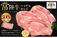 【常陸牛】ハミデルカルビ300g（2～3枚）（茨城県共通返礼品 茨城県産）