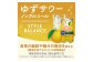 アサヒスタイルバランス食生活サポートゆずサワーノンアルコール缶 350ml 24本