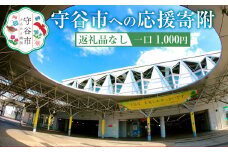 茨城県 守谷市への寄付 1,000円（返礼品はありません）