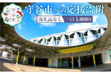 茨城県 守谷市への寄付 5,000円（返礼品はありません）