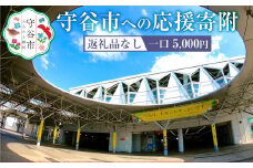 茨城県 守谷市への寄付 5,000円（返礼品はありません）