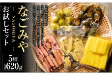 なごみやお試しセット 5種 合計620g セット ピクルス きゅうり 椎茸 芽キャベツ 牛蒡 ゴボウ 漬物 漬け物 詰合せ 詰め合わせ 野菜 野菜漬け 茨城県 守谷市 送料無料