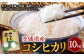 コシヒカリ 10kg