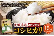 【3ヶ月定期便】コシヒカリ 5kg 計15kg 米 お米 ご飯 ごはん こしひかり 白米 精米 茨城県 守谷市