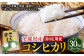 【3ヶ月定期便】コシヒカリ 10kg
