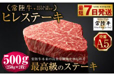 【常陸牛特選A5】ヒレステーキ250g×2枚 | 計500g 牛肉 肉 お肉 ヒレ ステーキ 冷凍 茨城県 守谷市