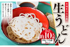 生うどん 100g×5人前×2セット | うどん 10人前 10食 セット 麺 麺類 辛汁 冷凍 茨城県 守谷市