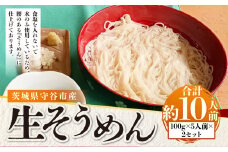 生そうめん 100g×5人前×2セット | そうめん 10人前 10食 セット 麺 麺類 辛汁 冷凍 茨城県 守谷市