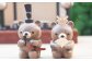 木製のクマのお雛様 2段