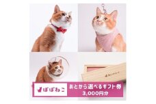 ぽぽねこギフト券（Eメールタイプ）3,000円分「共通返礼品」 デジタル商品券 オンラインショップ 電子マネー 猫 ネコ